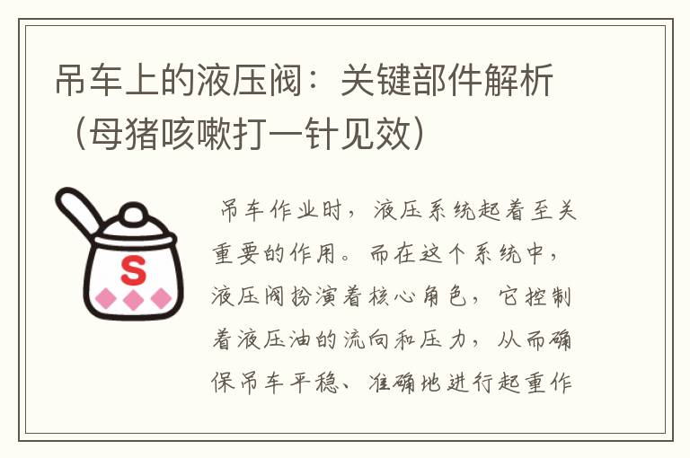 吊车上的液压阀：关键部件解析（母猪咳嗽打一针见效）