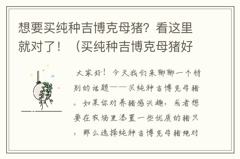 想要买纯种吉博克母猪？看这里就对了！（买纯种吉博克母猪好吗）