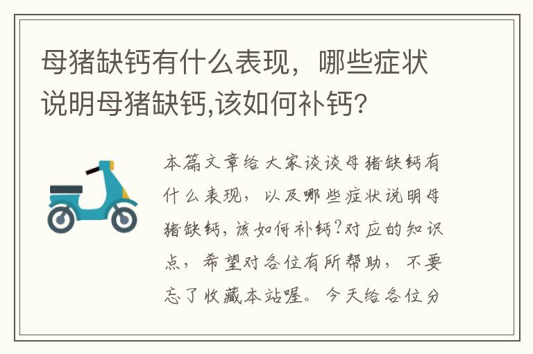 母猪缺钙有什么表现，哪些症状说明母猪缺钙,该如何补钙?