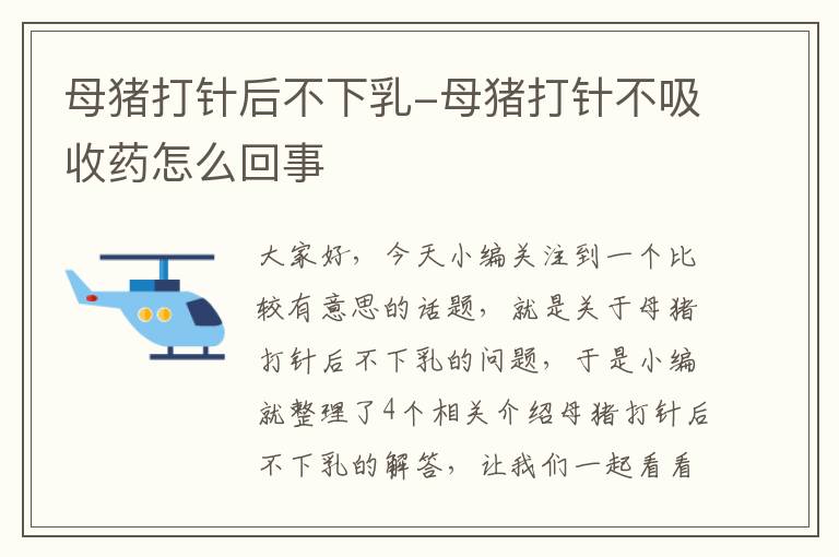 母猪打针后不下乳-母猪打针不吸收药怎么回事