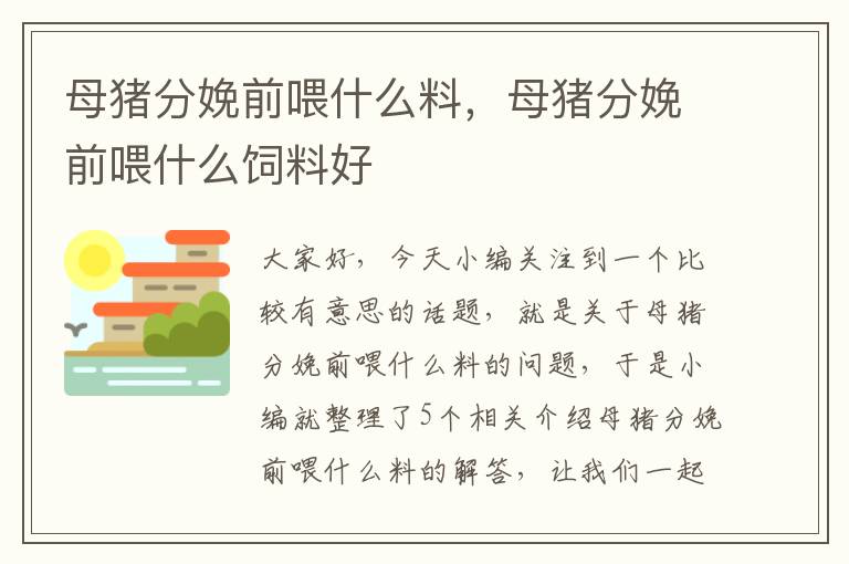 母猪分娩前喂什么料，母猪分娩前喂什么饲料好