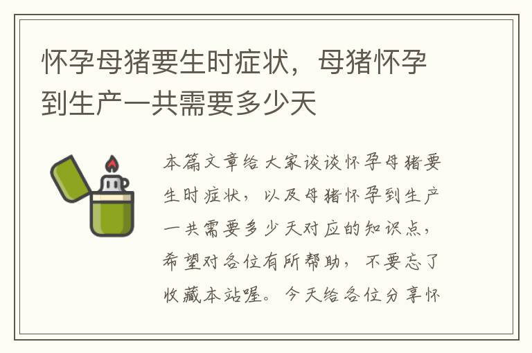 怀孕母猪要生时症状，母猪怀孕到生产一共需要多少天