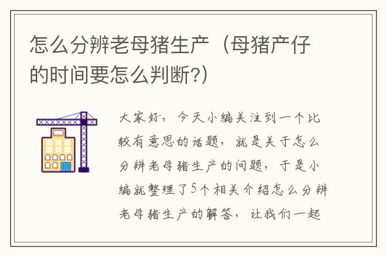 怎么分辨老母猪生产（母猪产仔的时间要怎么判断?）