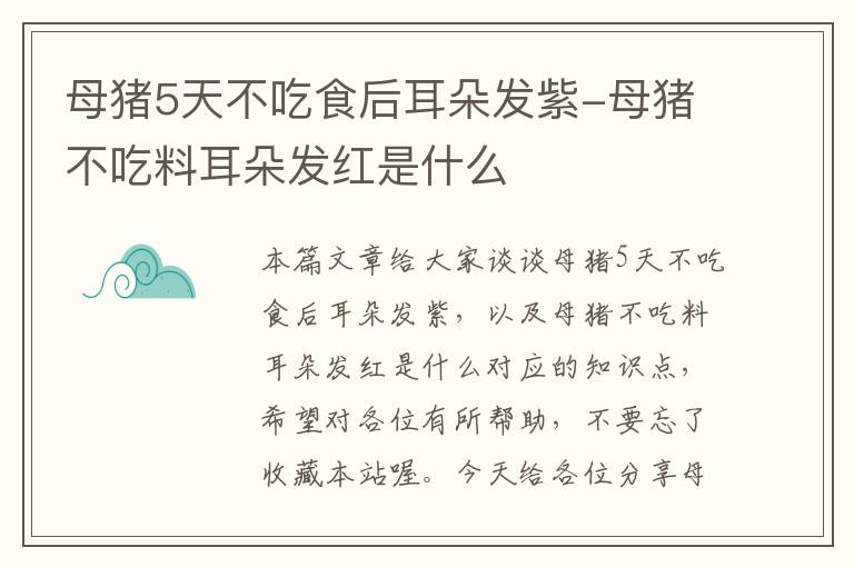 母猪5天不吃食后耳朵发紫-母猪不吃料耳朵发红是什么