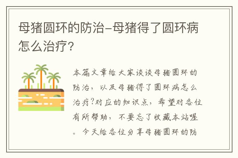 母猪圆环的防治-母猪得了圆环病怎么治疗?