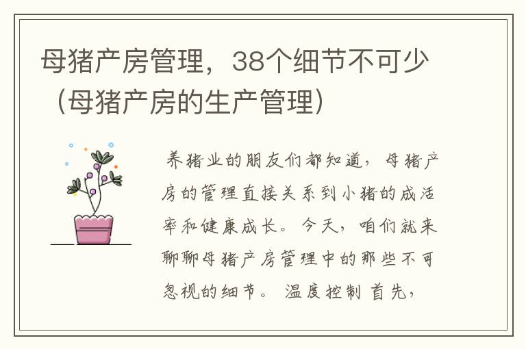 母猪产房管理，38个细节不可少（母猪产房的生产管理）