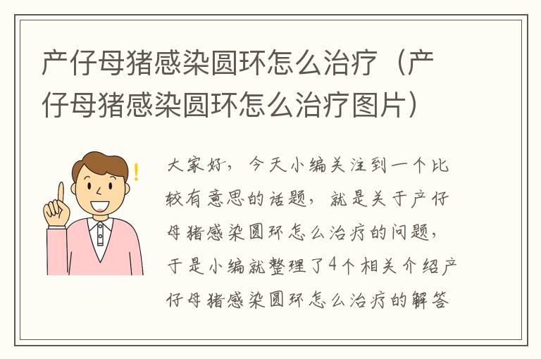 产仔母猪感染圆环怎么治疗（产仔母猪感染圆环怎么治疗图片）