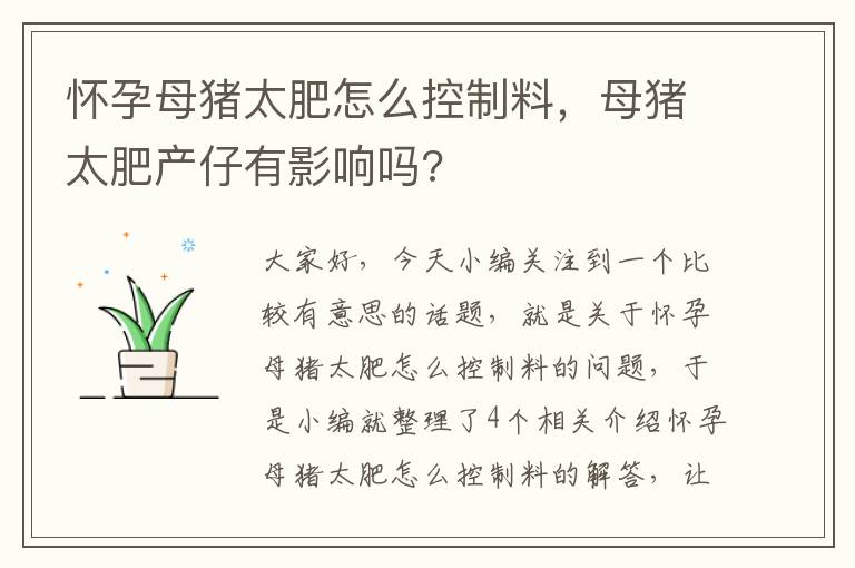 怀孕母猪太肥怎么控制料，母猪太肥产仔有影响吗?