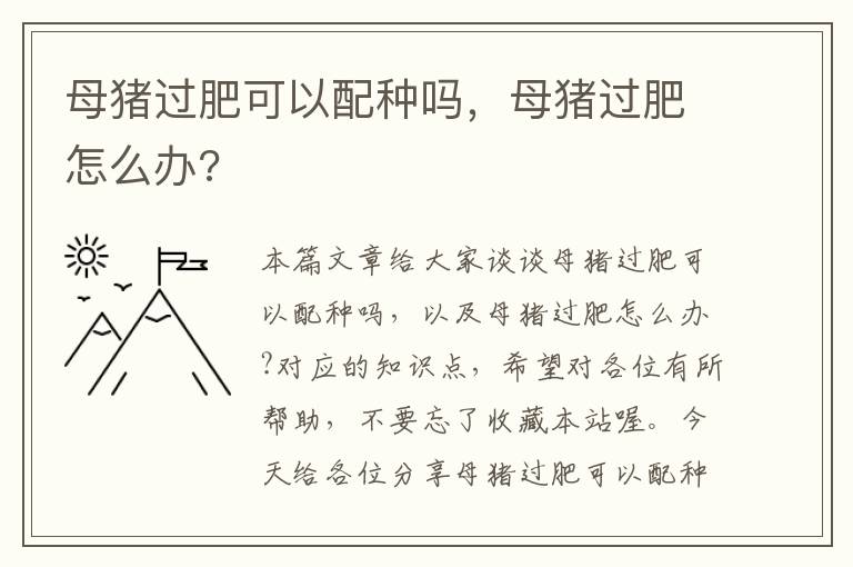 母猪过肥可以配种吗，母猪过肥怎么办?