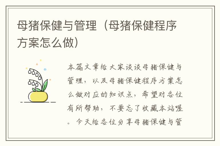 母猪保健与管理（母猪保健程序方案怎么做）