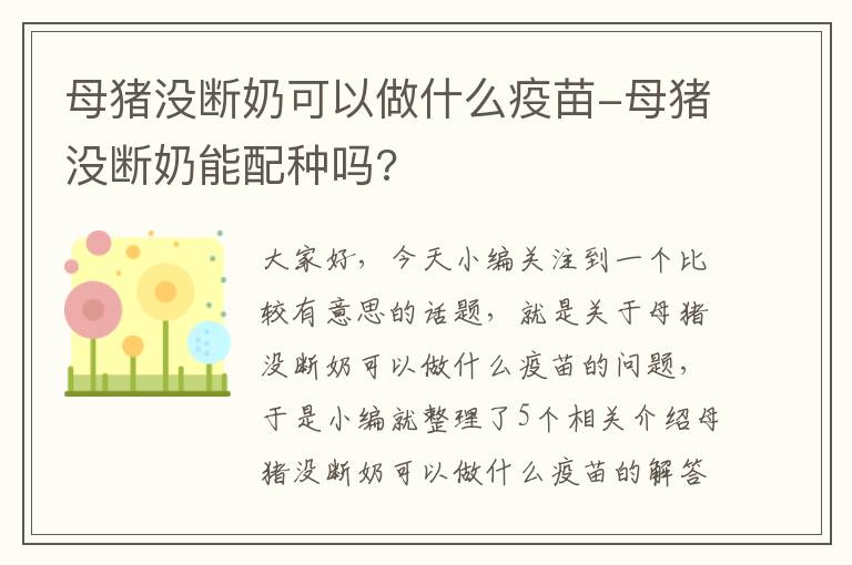 母猪没断奶可以做什么疫苗-母猪没断奶能配种吗?