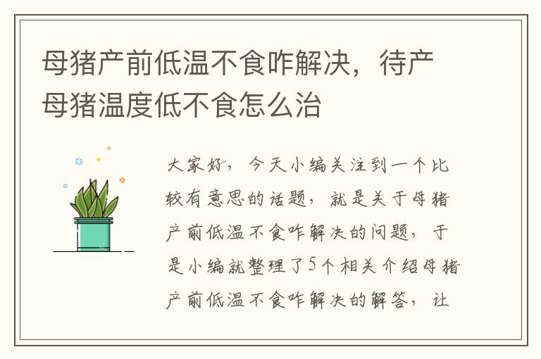 母猪产前低温不食咋解决，待产母猪温度低不食怎么治