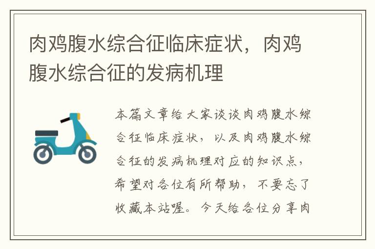 肉鸡腹水综合征临床症状，肉鸡腹水综合征的发病机理