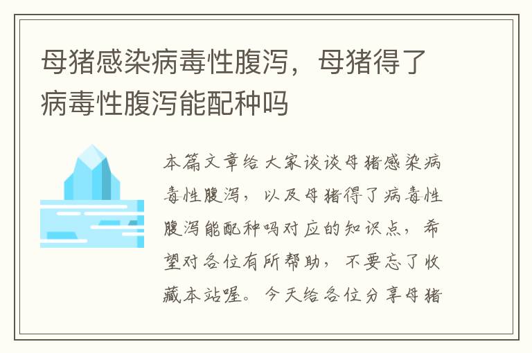 母猪感染病毒性腹泻，母猪得了病毒性腹泻能配种吗