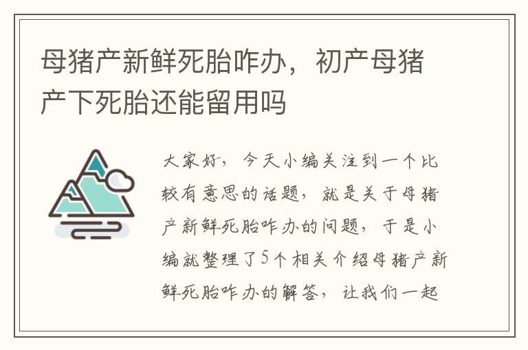 母猪产新鲜死胎咋办，初产母猪产下死胎还能留用吗