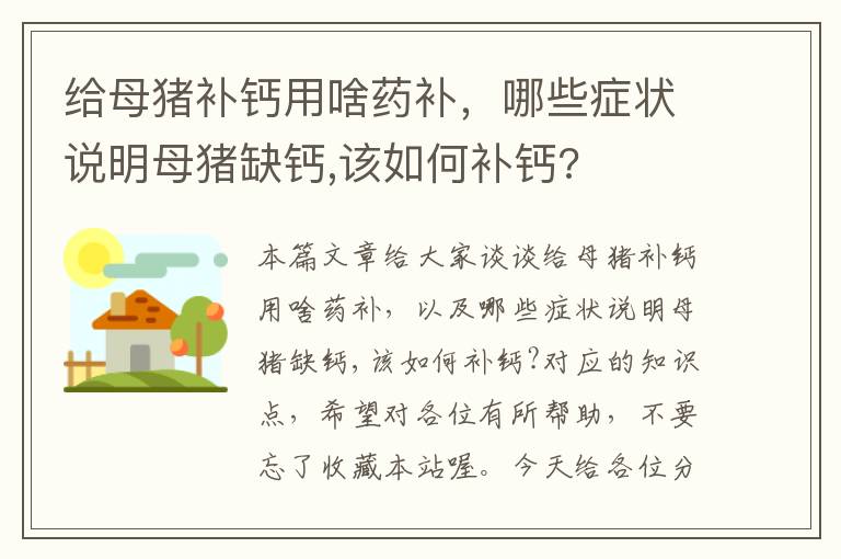 给母猪补钙用啥药补，哪些症状说明母猪缺钙,该如何补钙?