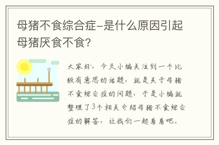 母猪不食综合症-是什么原因引起母猪厌食不食?