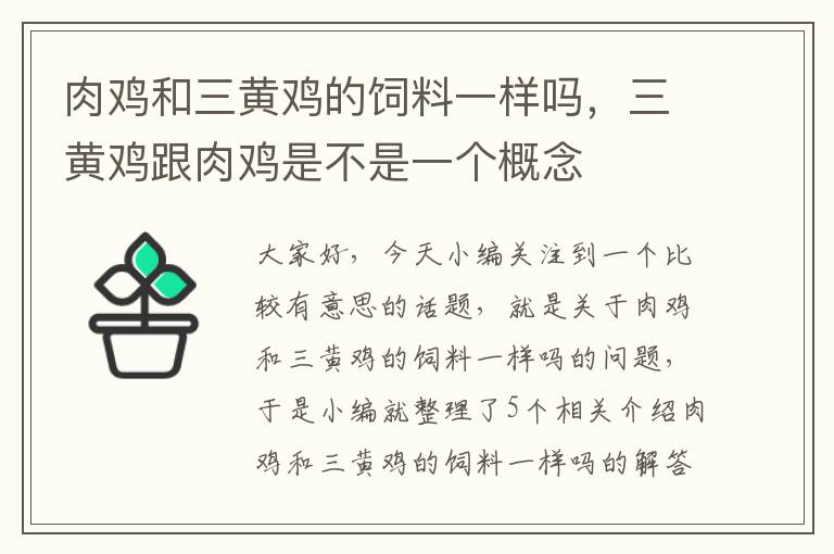 肉鸡和三黄鸡的饲料一样吗，三黄鸡跟肉鸡是不是一个概念