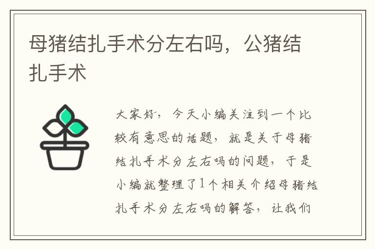 母猪结扎手术分左右吗，公猪结扎手术