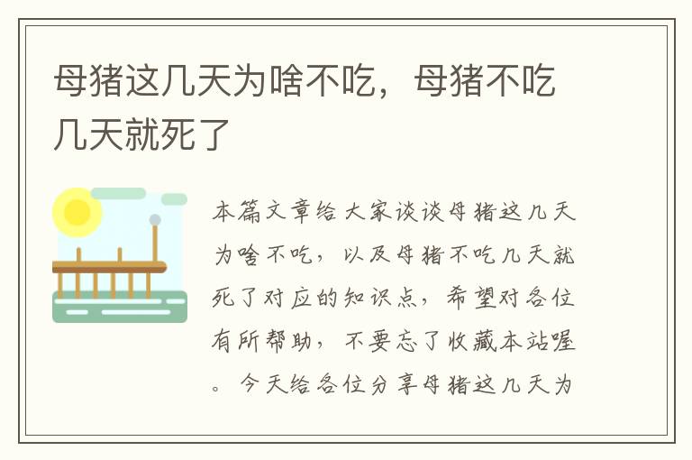 母猪这几天为啥不吃，母猪不吃几天就死了