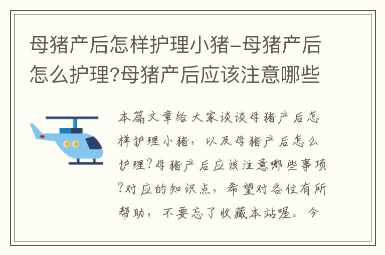 母猪产后怎样护理小猪-母猪产后怎么护理?母猪产后应该注意哪些事项?