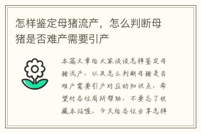 怎样鉴定母猪流产，怎么判断母猪是否难产需要引产