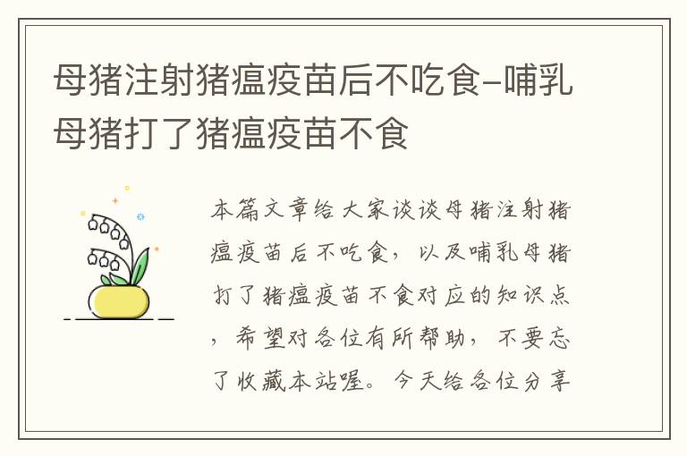 母猪注射猪瘟疫苗后不吃食-哺乳母猪打了猪瘟疫苗不食