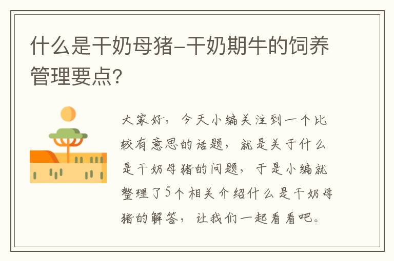 什么是干奶母猪-干奶期牛的饲养管理要点?