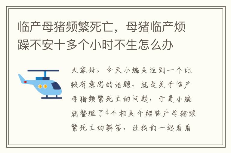 临产母猪频繁死亡，母猪临产烦躁不安十多个小时不生怎么办