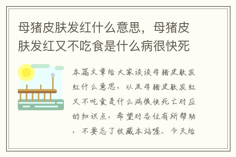 母猪皮肤发红什么意思，母猪皮肤发红又不吃食是什么病很快死亡