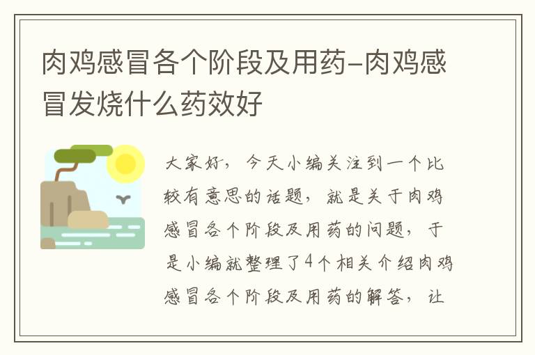 肉鸡感冒各个阶段及用药-肉鸡感冒发烧什么药效好