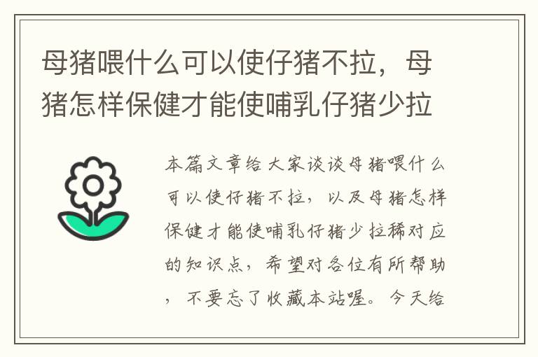 母猪喂什么可以使仔猪不拉，母猪怎样保健才能使哺乳仔猪少拉稀