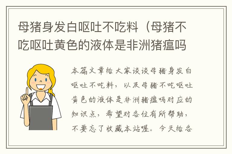 母猪身发白呕吐不吃料（母猪不吃呕吐黄色的液体是非洲猪瘟吗）