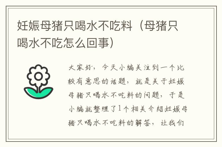 妊娠母猪只喝水不吃料（母猪只喝水不吃怎么回事）