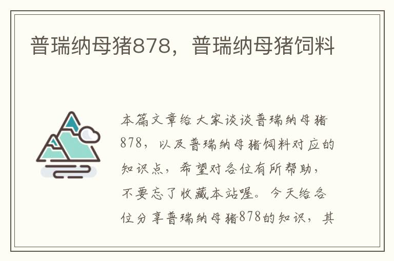 普瑞纳母猪878，普瑞纳母猪饲料