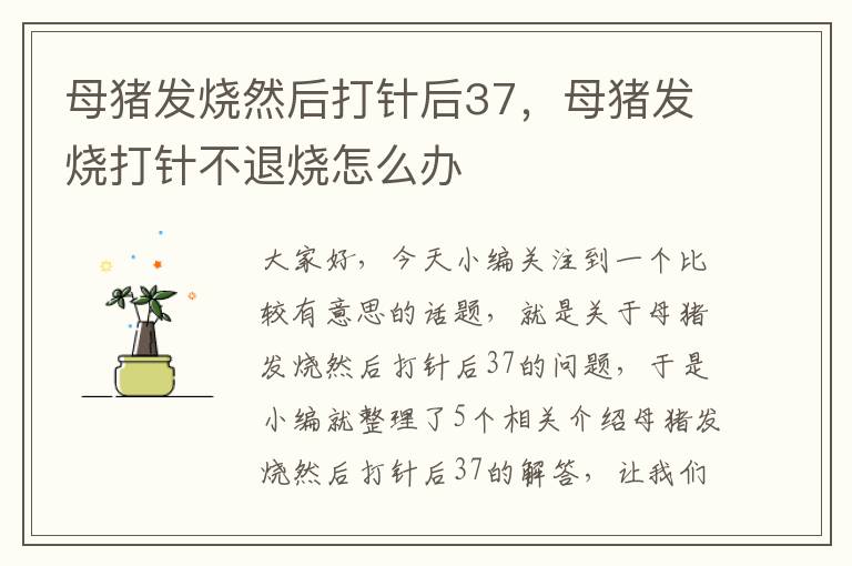 母猪发烧然后打针后37，母猪发烧打针不退烧怎么办