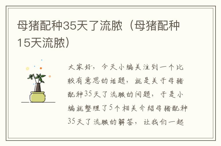 母猪配种35天了流脓（母猪配种15天流脓）