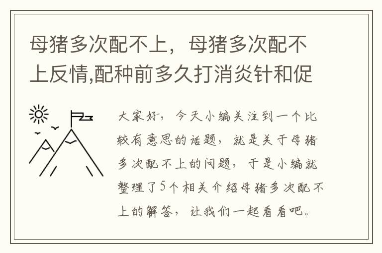 母猪多次配不上，母猪多次配不上反情,配种前多久打消炎针和促排卵针