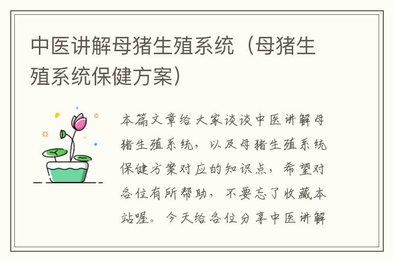 中医讲解母猪生殖系统（母猪生殖系统保健方案）