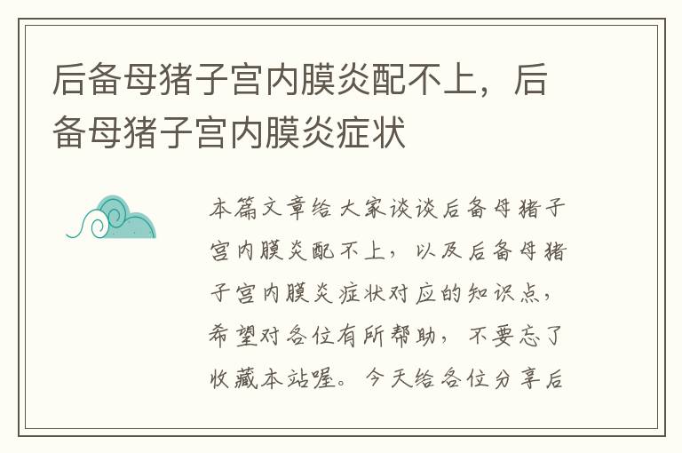 后备母猪子宫内膜炎配不上，后备母猪子宫内膜炎症状