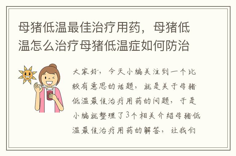 母猪低温最佳治疗用药，母猪低温怎么治疗母猪低温症如何防治