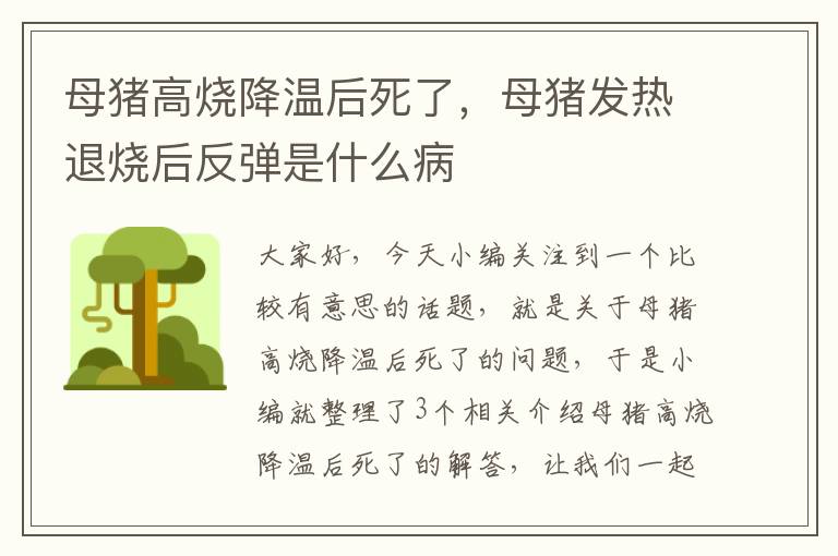 母猪高烧降温后死了，母猪发热退烧后反弹是什么病