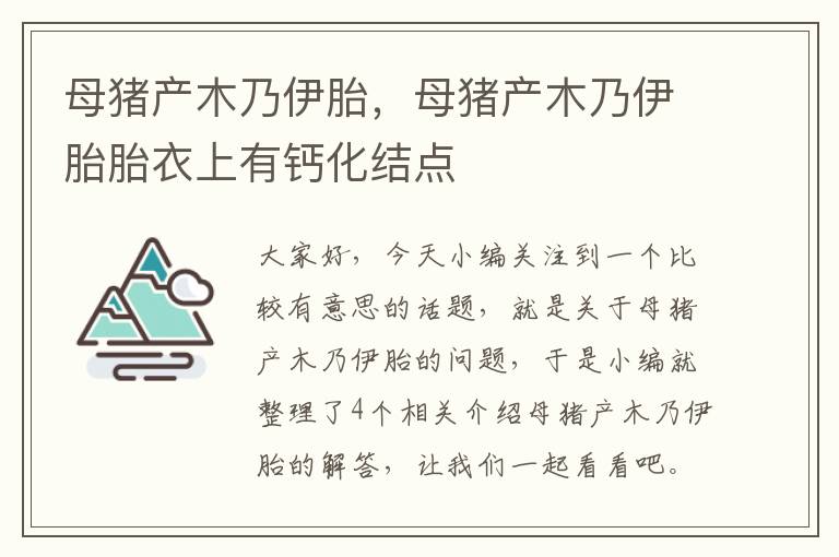 母猪产木乃伊胎，母猪产木乃伊胎胎衣上有钙化结点