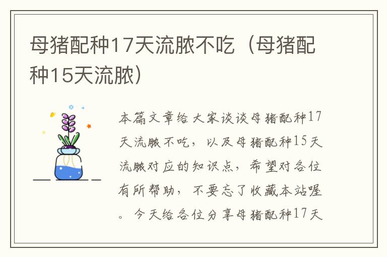 母猪配种17天流脓不吃（母猪配种15天流脓）