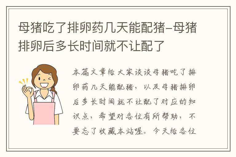 母猪吃了排卵药几天能配猪-母猪排卵后多长时间就不让配了