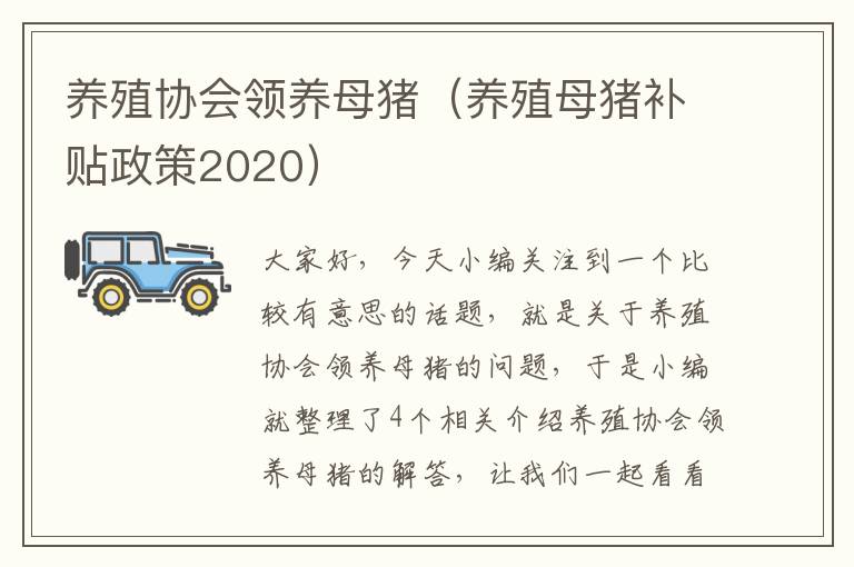 养殖协会领养母猪（养殖母猪补贴政策2020）