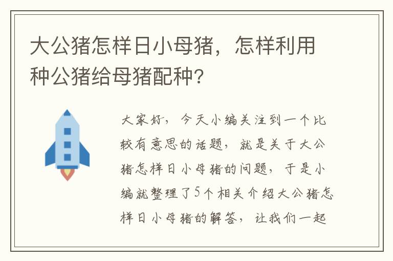 大公猪怎样日小母猪，怎样利用种公猪给母猪配种?