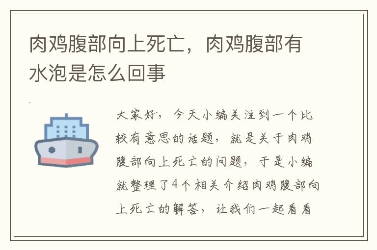 肉鸡腹部向上死亡，肉鸡腹部有水泡是怎么回事