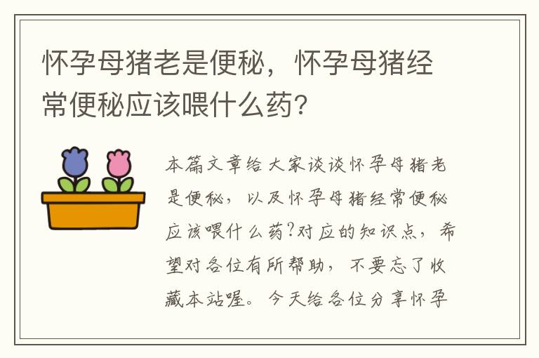 怀孕母猪老是便秘，怀孕母猪经常便秘应该喂什么药?