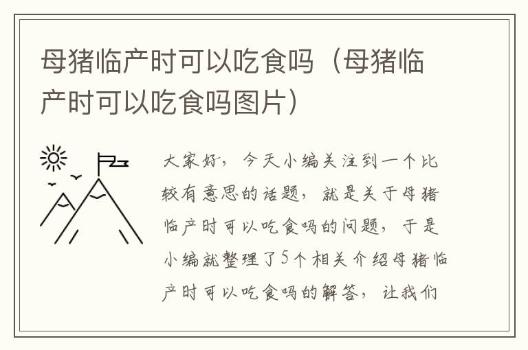 母猪临产时可以吃食吗（母猪临产时可以吃食吗图片）